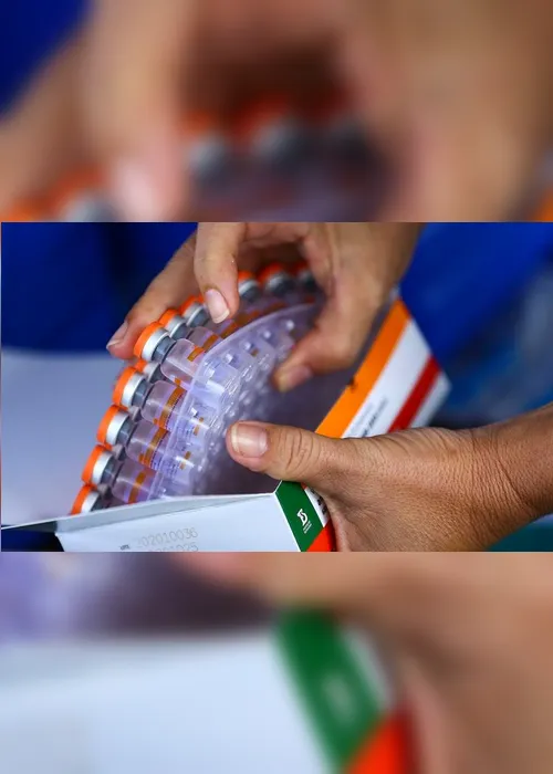 Imagem ilustrativa da imagem Pesquisa comprova efetividade da Coronavac entre idosos, diz Butantan