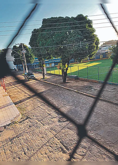 
          Imagem ilustrativa da imagem Árvore “ameaça” rede elétrica
          