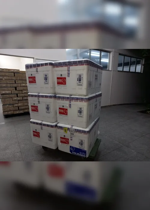 Imagem ilustrativa da imagem Mais de 83 mil doses de vacina contra a Covid chegam ao Estado nesta quinta