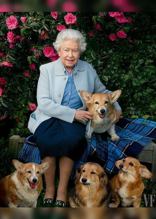 Imagem ilustrativa da imagem Morre cão que rainha Elizabeth II ganhou durante doença do marido