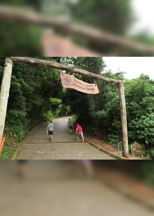 Imagem ilustrativa da imagem Lei permite que bombeiro seja sócio de empresa de tirolesa no Morro do Moreno