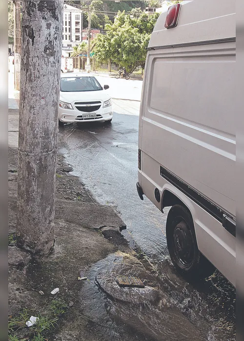 
          Imagem ilustrativa da imagem Árvore “ameaça” rede elétrica
          