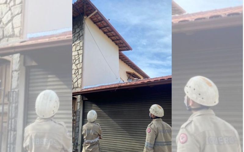 A gatinha, chamada Mia, havia subido para a cobertura de uma residência em Maruípe no domingo (30) e não conseguia descer sozinha (Foto: Divulgação/ CBMES)