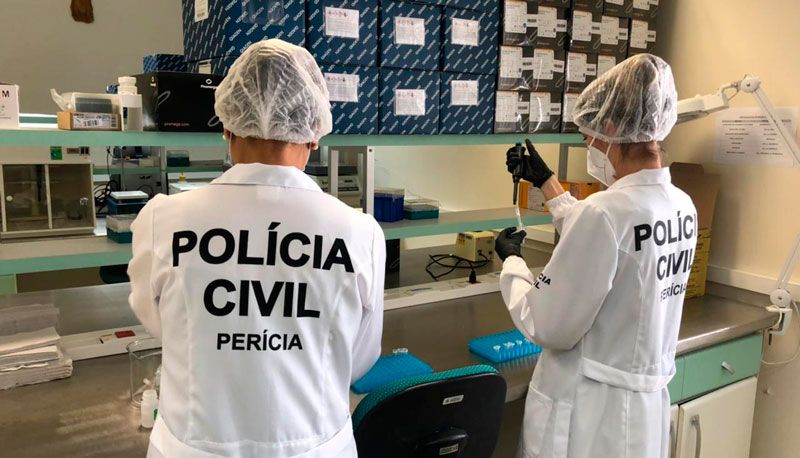 Equipe trabalha na análise de materiais genéticos (Foto: Divulgação / PCES)