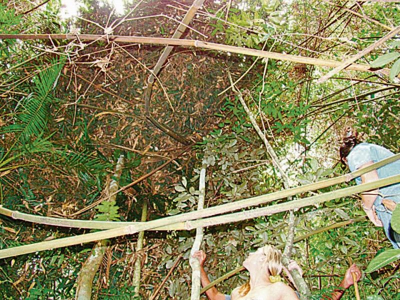 Local que teria sido visitado por extraterrestres (Foto: Julio Huber)