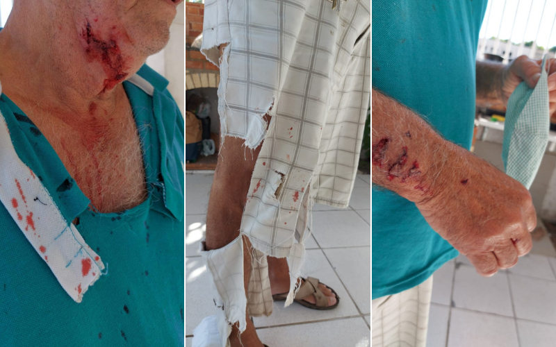 (Foto: Reprodução/Arquivo Pessoal)