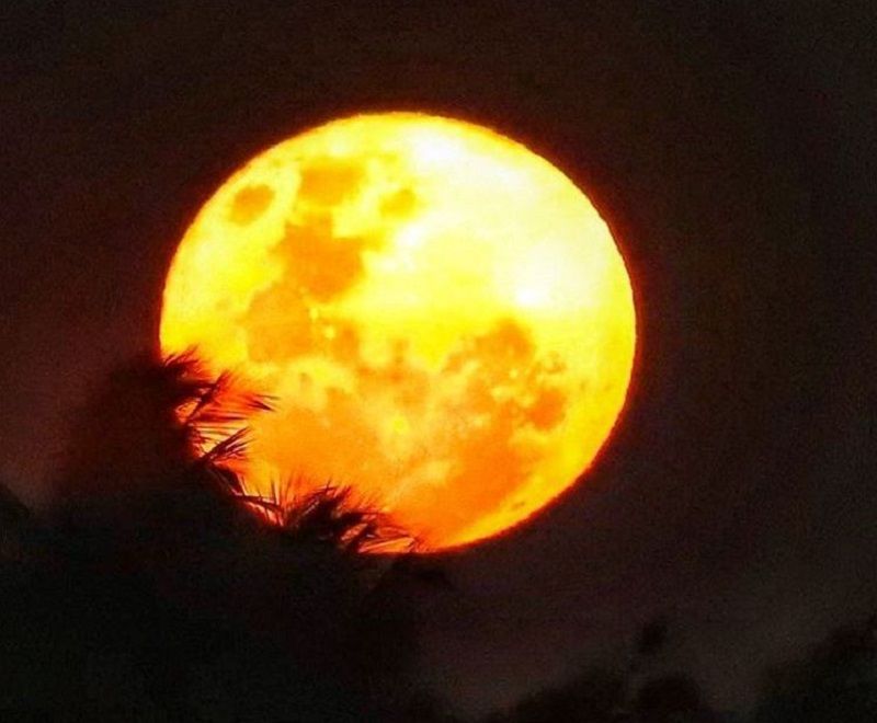 Internautas encantados com o fenômeno saíram às ruas e fizeram diversos registros da superlua (Foto: Vanda Lopes/ Instagram)