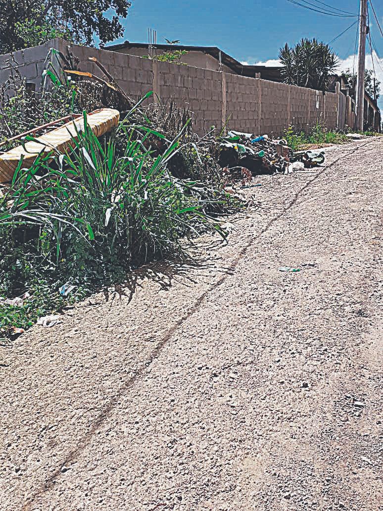 Morador reclama de limpeza mal feita (Foto: Jhonatan da Silva Corrêa)