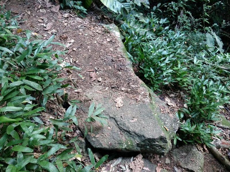 Prefeitura da Serra alerta para perigos em trilhas (Foto: Secom/ Divulgação)