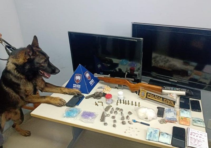 A polícia apreendeu um revólver calibre 32, um rifle calibre 38, munições, maconha, 250 gramas de cocaína, pedras de crack, anabolizantes, celulares, duas TVs e R$ 2,9 mil em dinheiro (Foto: Divulgação)
