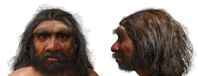 Imagem ilustrativa da imagem Fóssil de espécie mais próxima ao Homo sapiens é descoberto na China