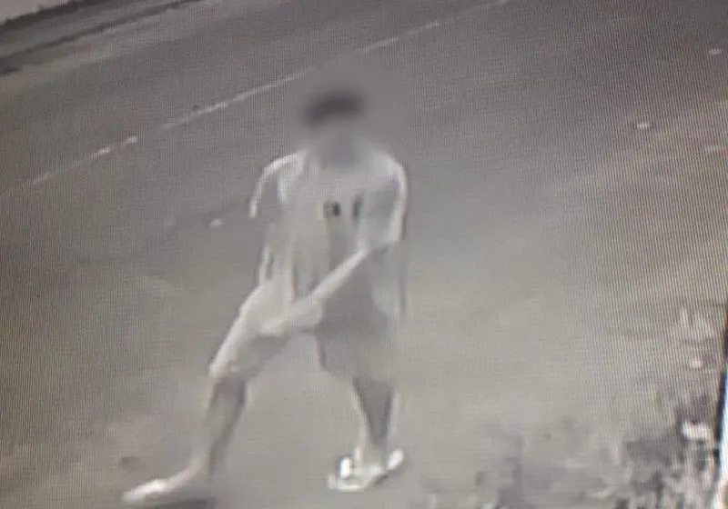 Imagem ilustrativa da imagem Homem é flagrado ao matar gato a pedrada em bairro da Serra