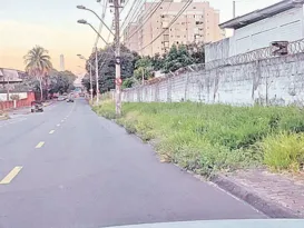 Imagem ilustrativa da imagem Avenida cheia de mato nas laterais