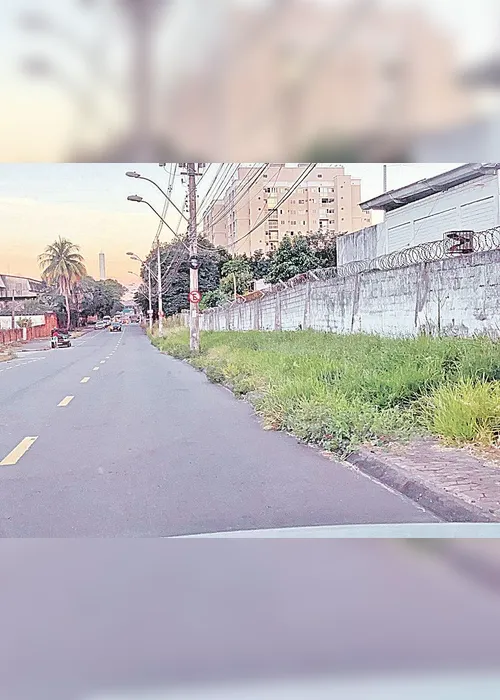 
          Imagem ilustrativa da imagem Avenida cheia de mato nas laterais
          