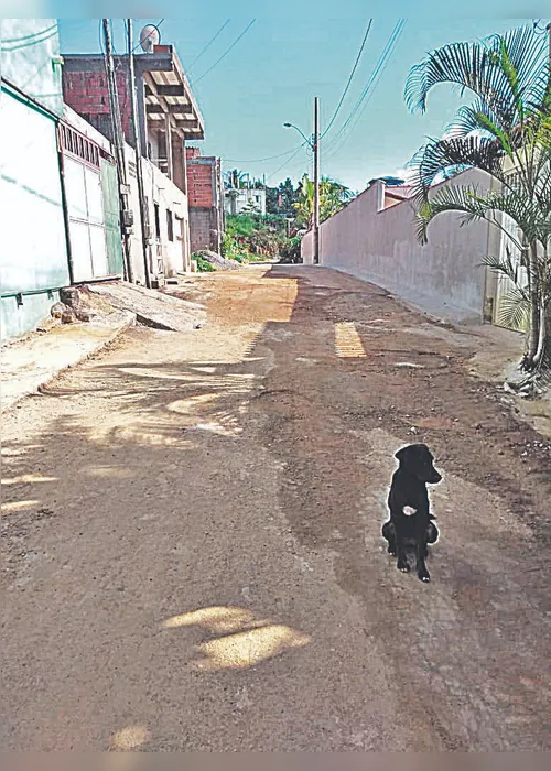 
          Imagem ilustrativa da imagem Rua ainda sem rede de esgoto
          