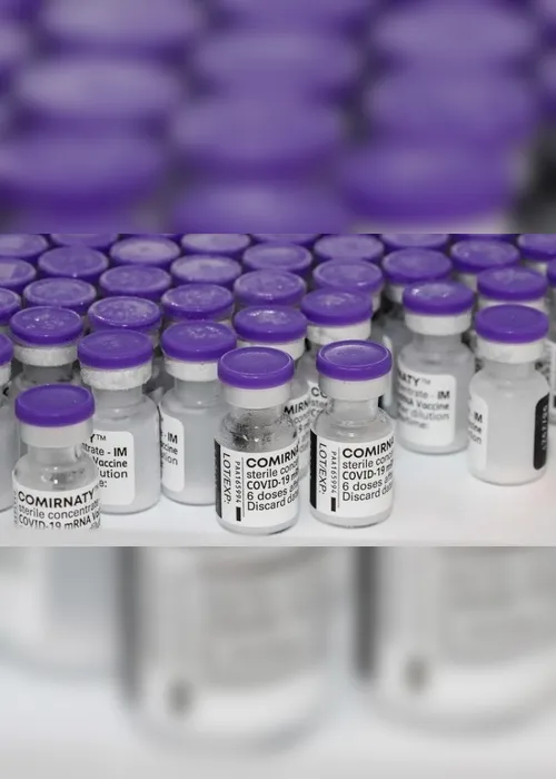 Imagem ilustrativa da imagem Segunda dose da Pfizer pode ser "antecipada" em seis dias