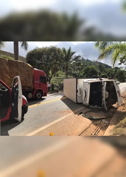 Imagem ilustrativa da imagem Urubus causam acidente entre carro e caminhão na BR 482