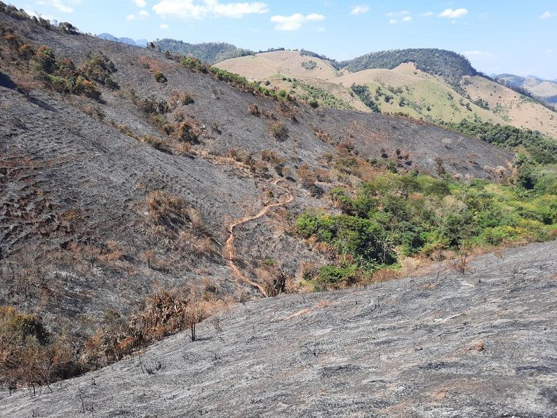 Como ficou a propriedade após o incêndio (Foto: Vinicius Campos)