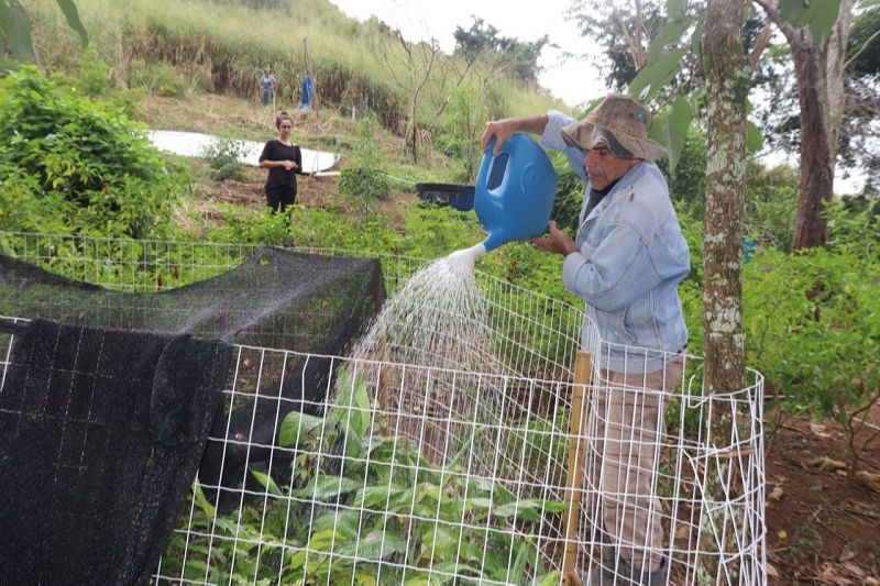 Newton, o dono do sítio, reaproveita água da chuva por meio dos caças chuvas para regar as plantas e mudas (Foto: Reprodução/Acervo Pessoal)