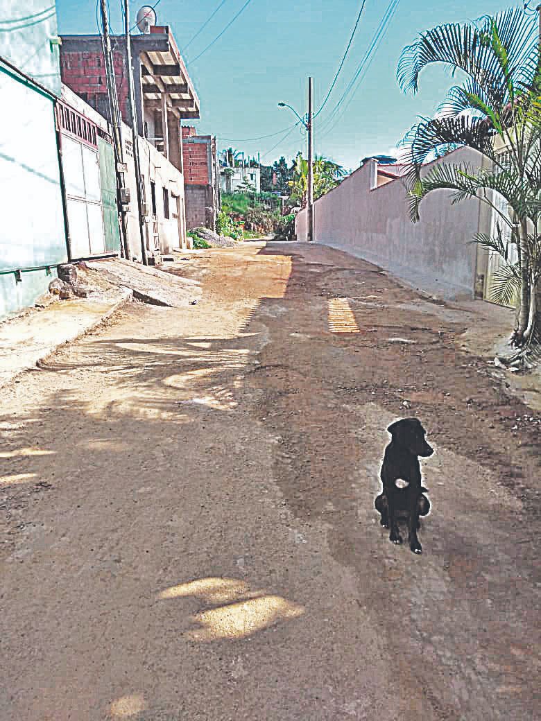 Rua F, no Residencial Prolar II, em Cariacica, ainda não tem rede de esgoto (Foto: Benedito da Conceição Siqueira)