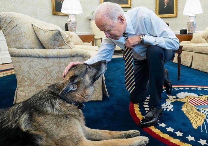 Biden e Champ (Foto: Reprodução Instagram @firstdogsusa)