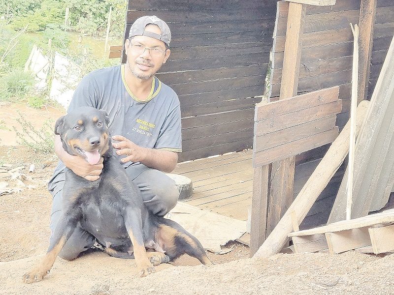 Daniel com a cadela Luna, que ficou sobre o corpo do filhote morto após um atropelamento na BR-101, em Guarapari (Foto: Roberta Bourguignon)