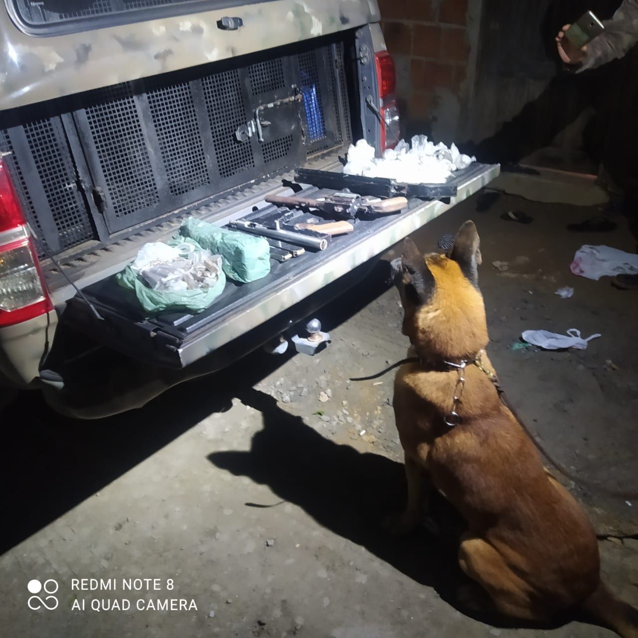 Cão Eudes em apreensão em Viana (Foto: Divulgação/ PMES)