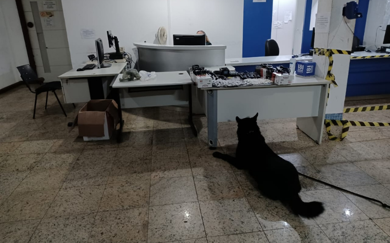 Com ajuda de cães, PM apreende drogas e rádio comunicadores em Vitória (Foto: Polícia Militar)