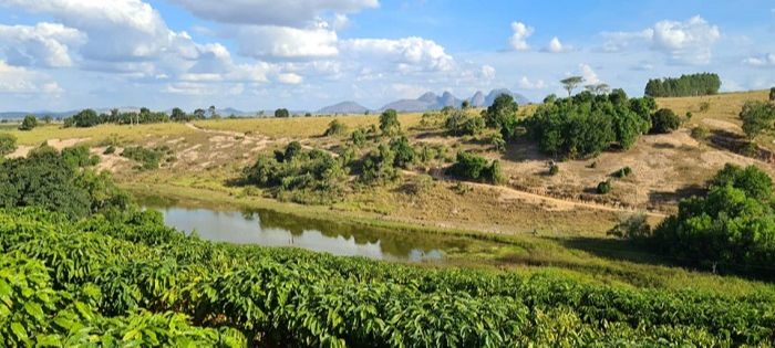 Córrego do Frigério, em Nova Venécia, vai receber projeto do Estado para uso racional dos recursos hídricos (Foto: Divulgação )
