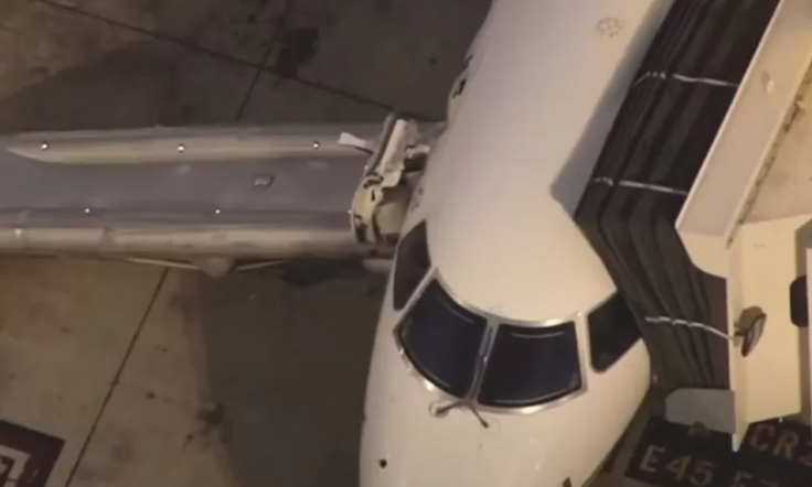 Homem pula de avião em movimento nos EUA (Foto: Divulgação)
