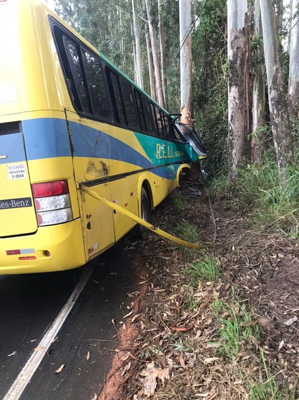 Ônibus sai da pista, bate em árvore e deixa sete feridos na Região Serrana (Foto: )