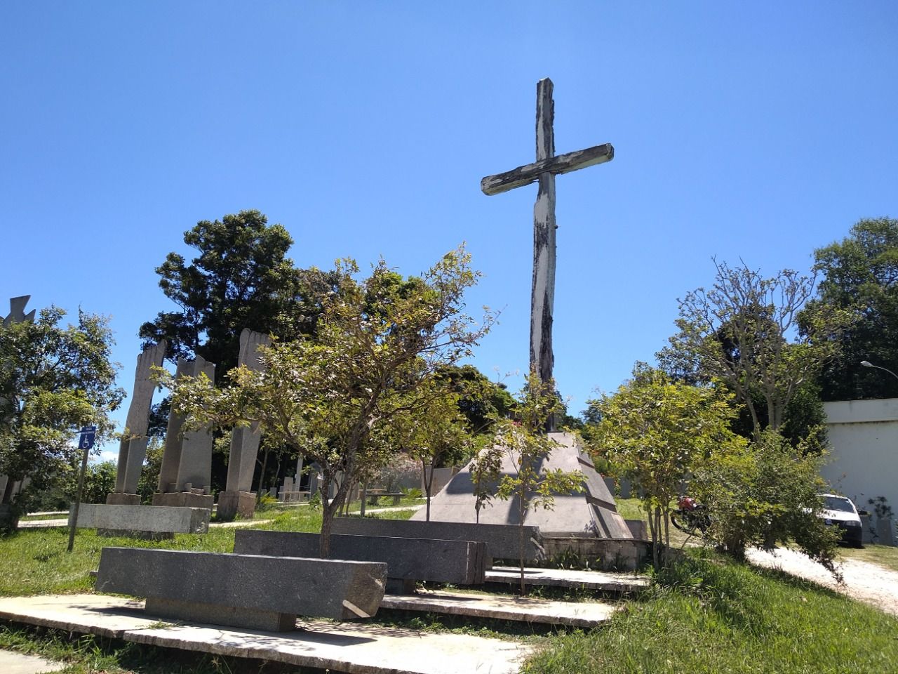 Santuário de Castelo se tornou o refúgio de mais de 60 animais abandonados (Foto: Alessandro de Paula)