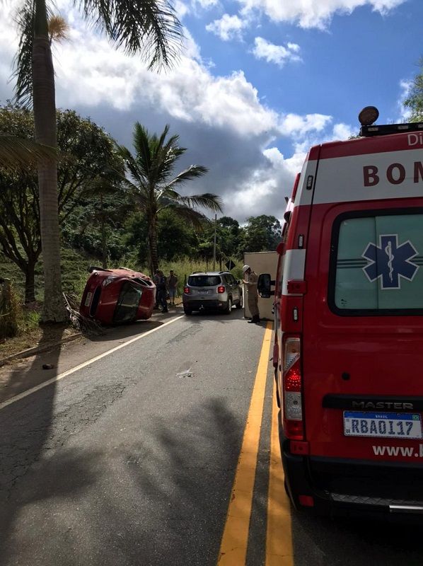 Urubus causam acidente entre carro e caminhão na BR 482 (Foto: Corpo de Bombeiros)