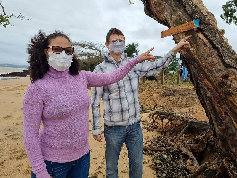 Imagem ilustrativa da imagem Árvores são envenenadas em praia e moradores denunciam: "Ato covarde"