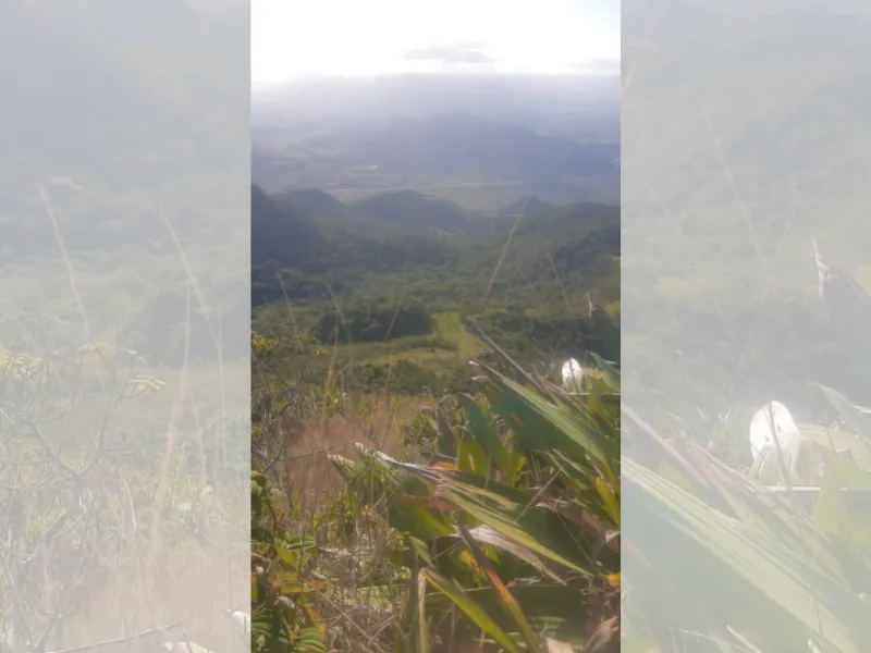 Imagem ilustrativa da imagem Vídeo | Jovens se perdem em montanha e são salvos após enviarem foto para a polícia