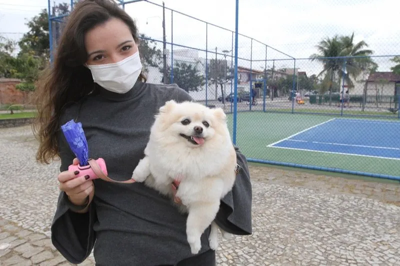 Imagem ilustrativa da imagem Vídeo e foto para multar quem deixa sujeira de cão nas ruas