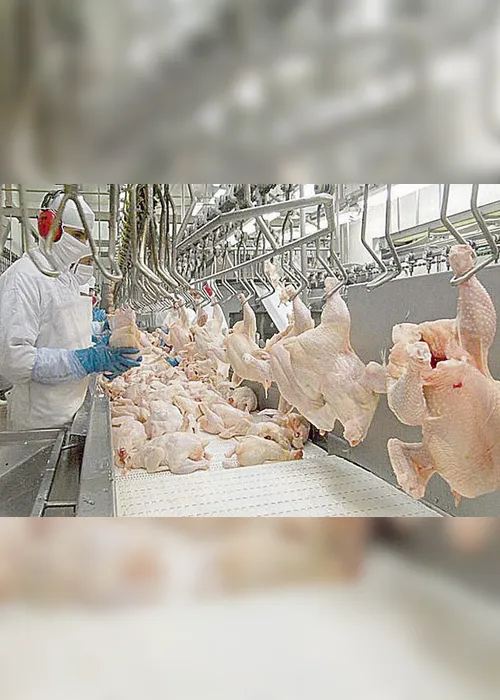Imagem ilustrativa da imagem Frango, carne de porco e ovo até 50% mais caros