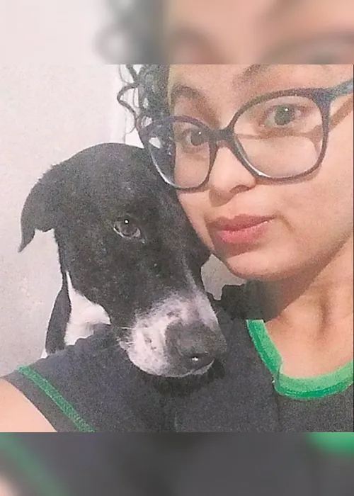 Imagem ilustrativa da imagem Vantagens de adotar um cão adulto