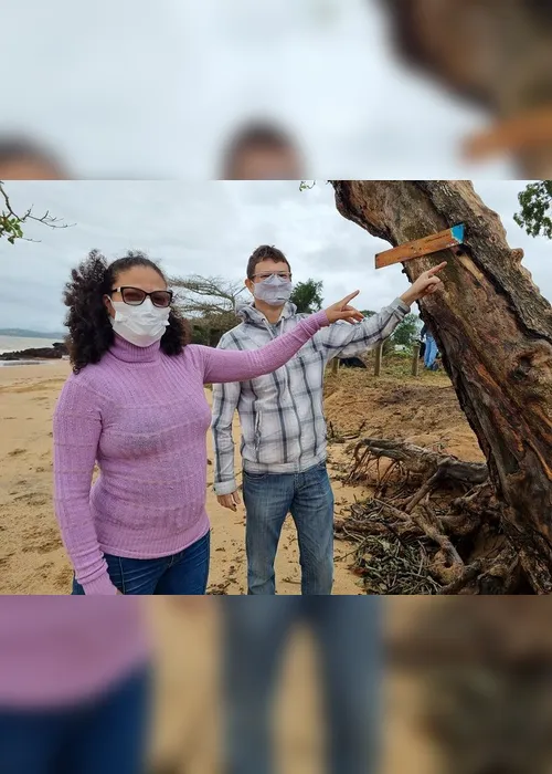 Imagem ilustrativa da imagem Árvores são envenenadas em praia e moradores denunciam: "Ato covarde"