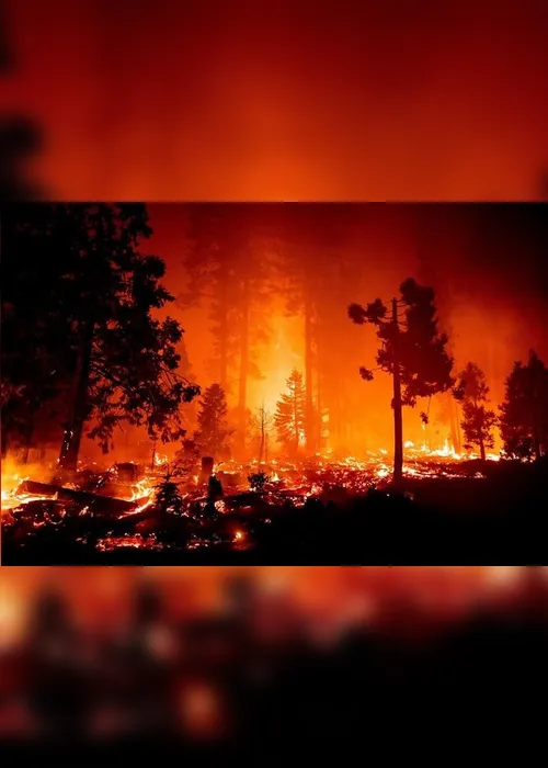 Imagem ilustrativa da imagem Casal vai responder na Justiça por causar incêndio em chá de bebê