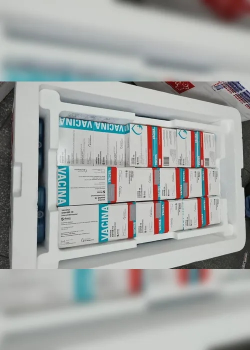 Imagem ilustrativa da imagem Estado vai receber mais 158.800 doses de vacina contra covid esta semana