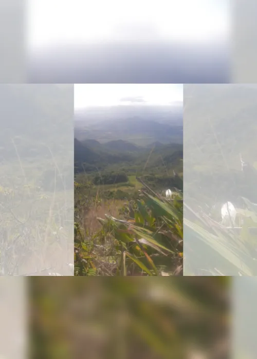 Imagem ilustrativa da imagem Vídeo | Jovens se perdem em montanha e são salvos após enviarem foto para a polícia