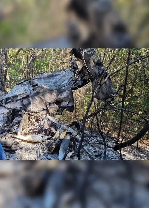 Imagem ilustrativa da imagem Piloto e aluno pulam de avião e se salvam de explosão