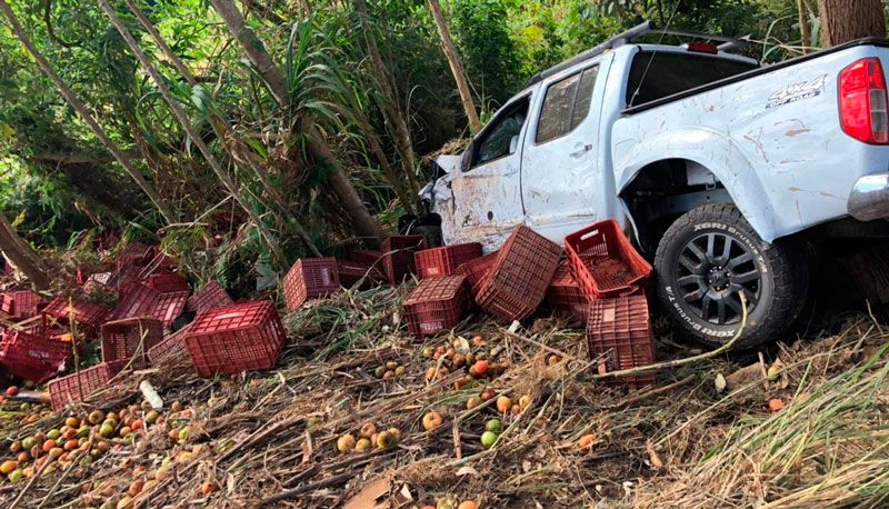 Um dos veículos envolvidos no acidente saiu da pista e atingiu a vegetação (Foto: Redes Sociais)
