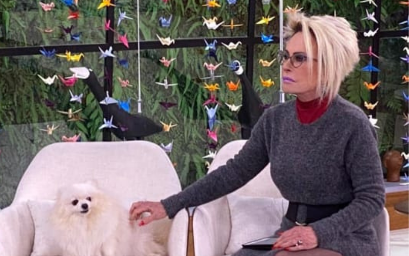 Ana Maria Braga retornou ao programa Mais Você (Foto: Divulgação/Instagram)