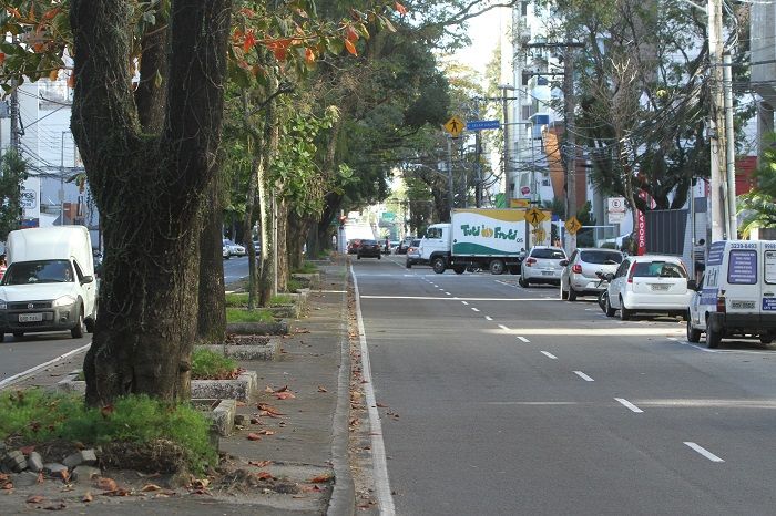 A ciclovia será construída em cima do canteiro central, ao lado das árvores, que serão mantidas (Foto: Beto Morais/AT)