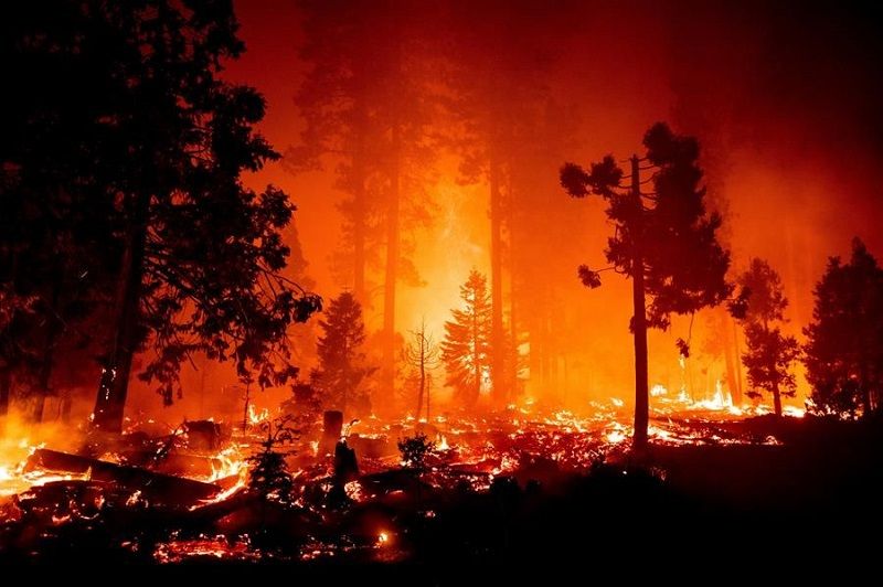 O incêndio destruiu uma uma área de quase 100 quilômetros quadrados, causando a morte de uma pessoas e deixando 13 feridos (Foto: Divulgação/ Redes Sociais)
