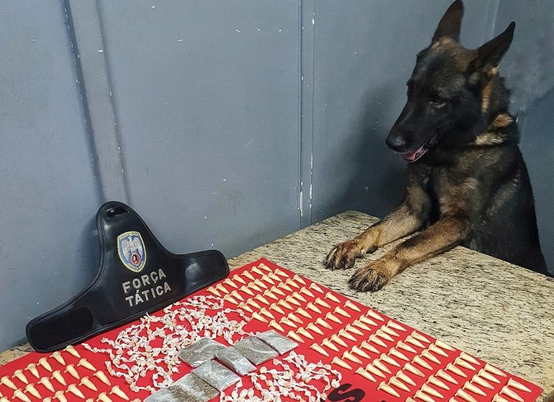 O cão farejador encontrou uma bolsa com entorpecentes que foi dispensada por um suspeito (Foto: Divulgação/ Sesp)
