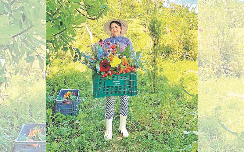(Foto: Divulgação)