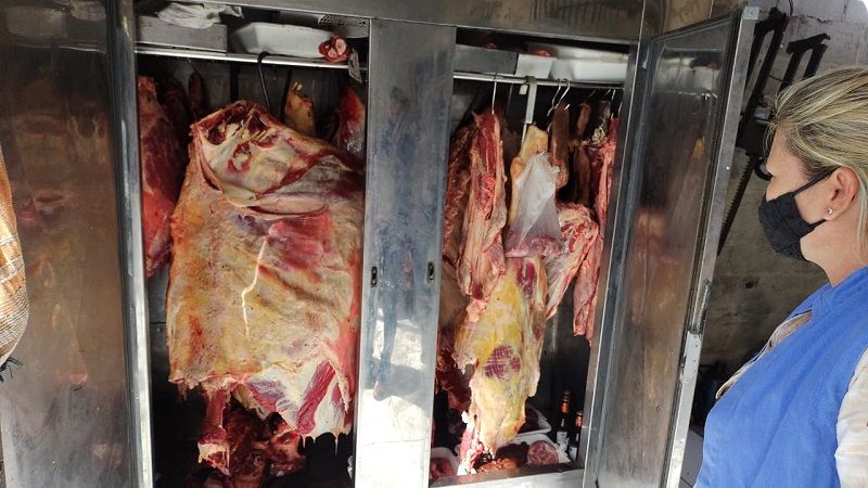 A carne clandestina foi encontrada durante vistoria em quatro estabelecimentos (Foto: Divulgação/ PCES)